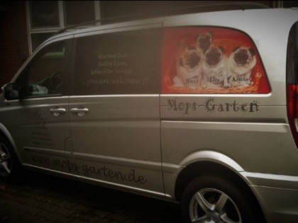 Photo: Mops-Garten Drensteinfurt